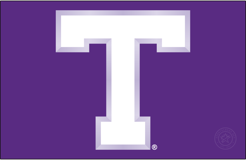 Tarleton Texans 2005-2018 Primary Dark Logo iron on transfers for T-shirts